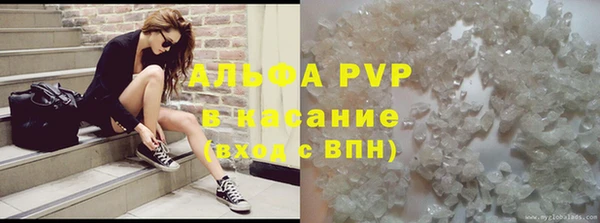 индика Абаза
