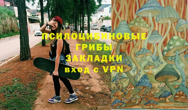 индика Абаза