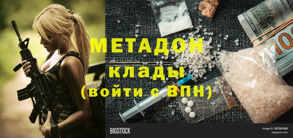 индика Абаза