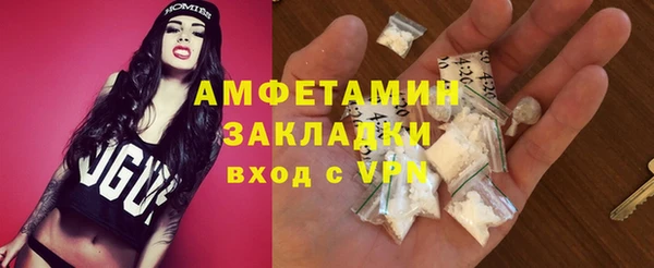 индика Абаза