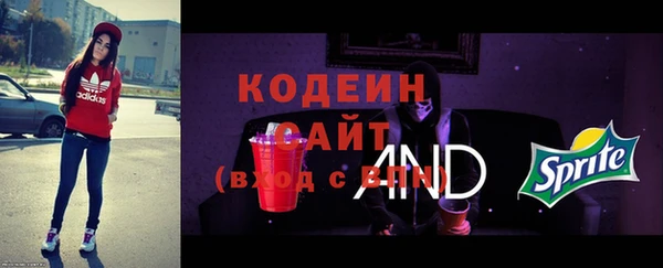 индика Абаза