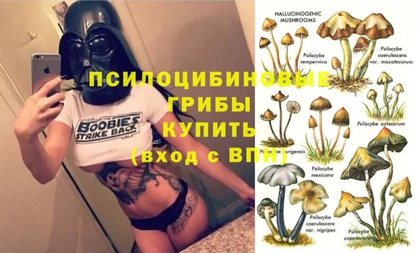 мдпв Абдулино