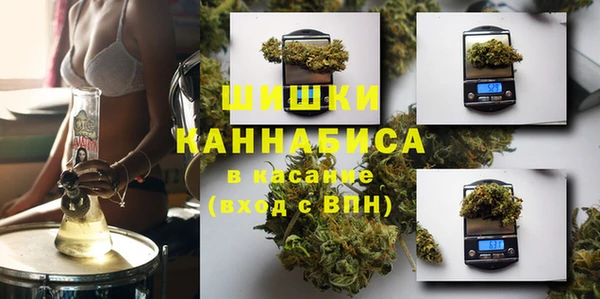 гашик Нефтекумск