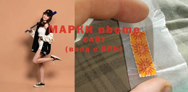 индика Абаза