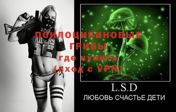 МДПВ Абинск