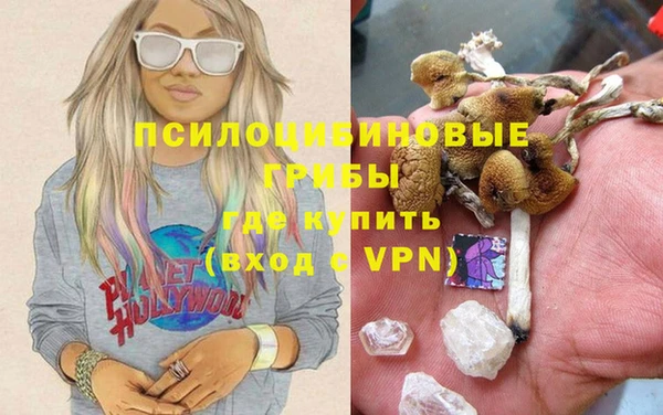мдпв Абдулино